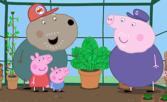 Peppa Pig S05E12 Grandpa Pigs Greenhouse