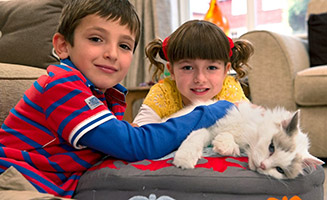 Topsy and Tim S02E09 Lost Cat