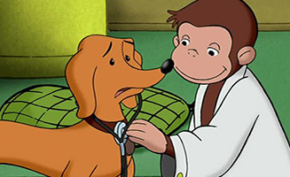 Curious George S01E12 Doctor Monkey / the Architect