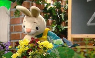 Harry The Bunny E32