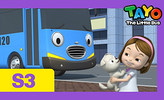 Tayo the Little Bus S03E19 I want a puppy