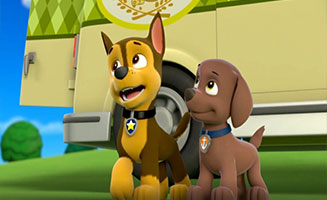PAW Patrol S01E22 Pups Save the Camping Trip-Pups and the Trouble with Turtles