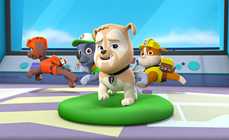 PAW Patrol S02E14 Pups Save and Elephant Family