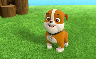 PAW Patrol S02E26 Pups Bark with Dinosaurs