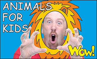 Animals for Kids and Mr Sun