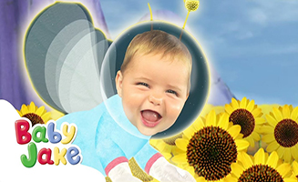 Baby Jake Flower and Pollen