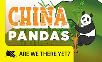 China Pandas - Travel Kids in Asia