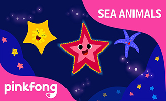 Pinkfong Shooby dooby doo Starfish - Sea Animals Song