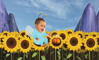 Baby Jake Sunflower Day