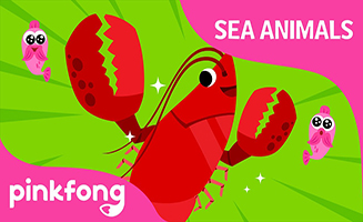 Pinkfong Clap Snap Lobster