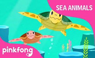 Pinkfong Tooty Ta Sea Turtle - Sea Animals Songs