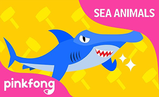 Pinkfong Boom Bang Hammerhead Shark