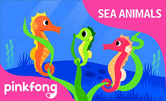 Pinkfong Hey ho hey Seahorse - Sea Animals Song