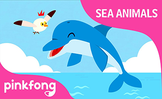 Pinkfong Click Click Dolphin