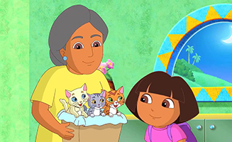 Dora the Explorer S07E06 Doras Moonlight Adventure
