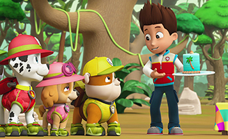 PAW Patrol S04E20 Pups Save the Mail - Pups Save a Frog Mayor