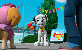 PAW Patrol S05E26 Pups Save Aces Birthday Surprise - Pups Save a Tower of Pizza