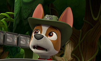 PAW Patrol S06E06 Pups and the Stinky Bubble Trouble - Pups Save the Baby Ostriches