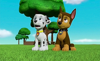 PAW Patrol S06E11 Pups Save the Land Pirates - Pups Save the Birdwatching Turbots