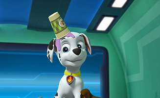 PAW Patrol S06E16 Pups Save the Balloon Pups - Pups Save the Spider Spies