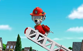 PAW Patrol S08E10 Pups and Katie Stop the Barking Kitty Crew - Pups Save the Glasses
