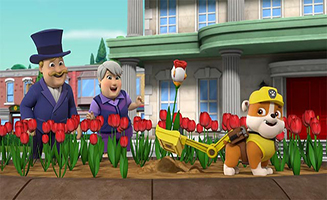 PAW Patrol S08E12 Pups Save a Chicken Tulip - Pups Stop an Xtreme Shark