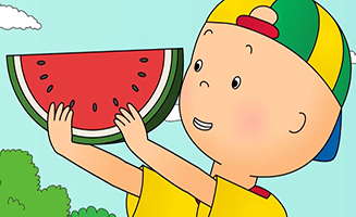 Caillous New Adventures S02E04 CAILLOU AT THE PICNIC