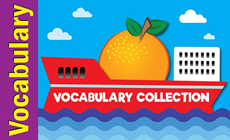 Vocabulary Collection
