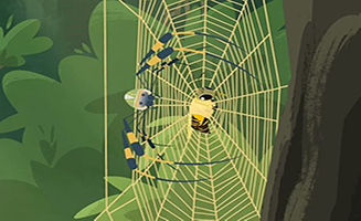 Wild Kratts S02E11 Secrets of the Spiders Web