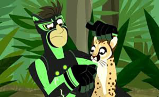 Wild Kratts S03E06 Search for the Florida Panther