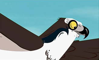 Wild Kratts S03E07 Osprey