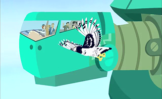 Wild Kratts S04E18 Eel lectric