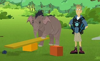 Wild Kratts S05E08 Elephant Brains