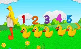 Learn to Count the Little Ducks