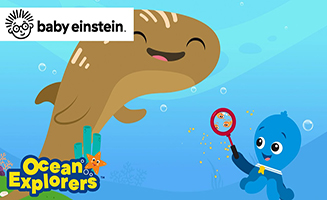 Big And Small With Underwater Friends - New Happy Song - Ocean Explorers