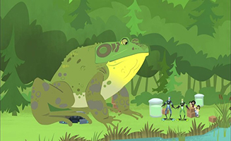 Wild Kratts S02E08 Aqua Frog