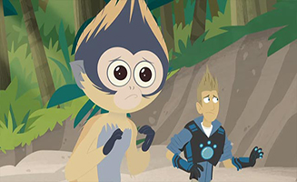 Wild Kratts S02E13 Bugs Or Monkeys