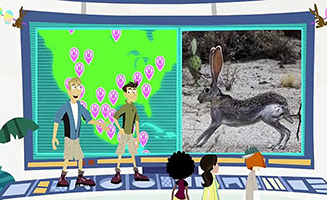 Wild Kratts S06E10 In Search of the Easter Bunny