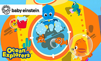 Working Together With Clown Fish - Ocean Explorers