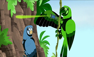 Wild Kratts S06E15 Parrot Power