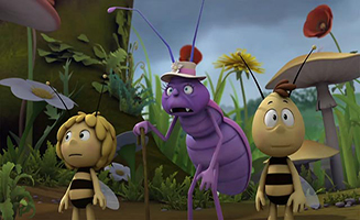 Maya The Bee S01E23 Mrs Hermit Beetles Journey