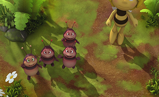 Maya The Bee S01E25 Mother Courage