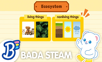 Steam Lesson - Ecosystems
