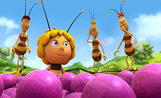 Maya The Bee S01E21 Bee Clean
