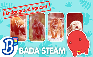 Steam Lesson - Endangered Species And Extinction