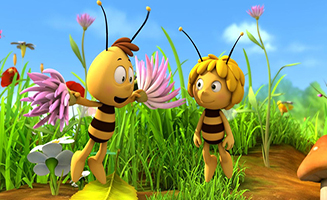 Maya The Bee S01E67 A Flower To Share