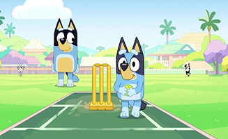 Bluey S03E47 Cricket