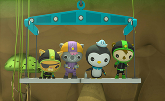 Octonauts - Above and Beyond S01E11 The Octonauts and the Mountain River Cave - The Octonauts and the Nine Banded Armadillo