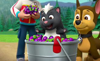 Paw Patrol S03E20 Pups Get Skunked-Pups and a Whale of a Tale