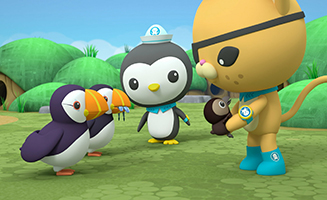 Octonauts - Above and Beyond S01E13 The Octonauts and the Puffin Colony - The Octonauts and the Monster Digger